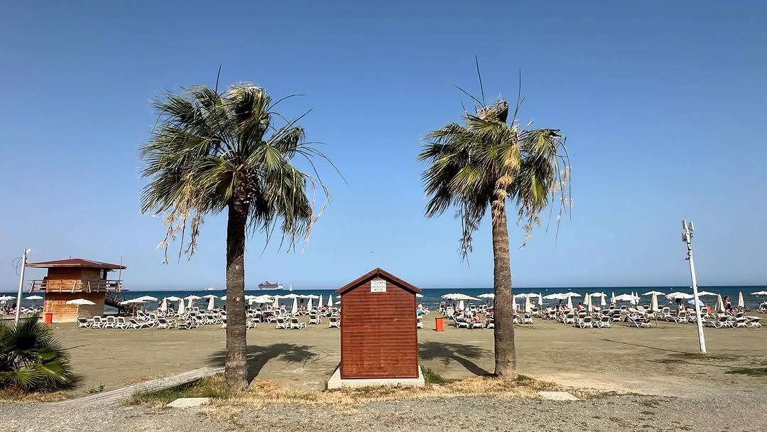 Finikoudes Larnaca