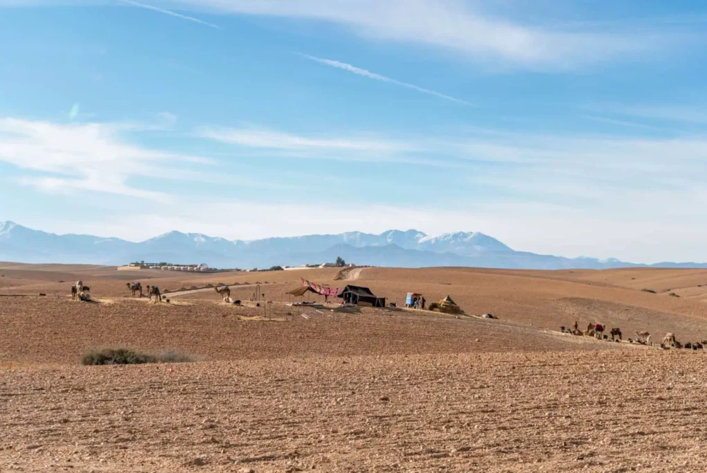 The Agafay Desert
