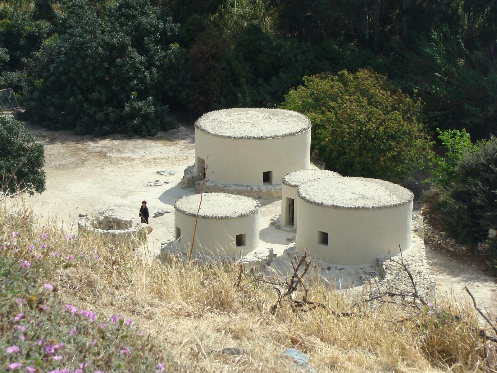 Choirokoitia Larnaca