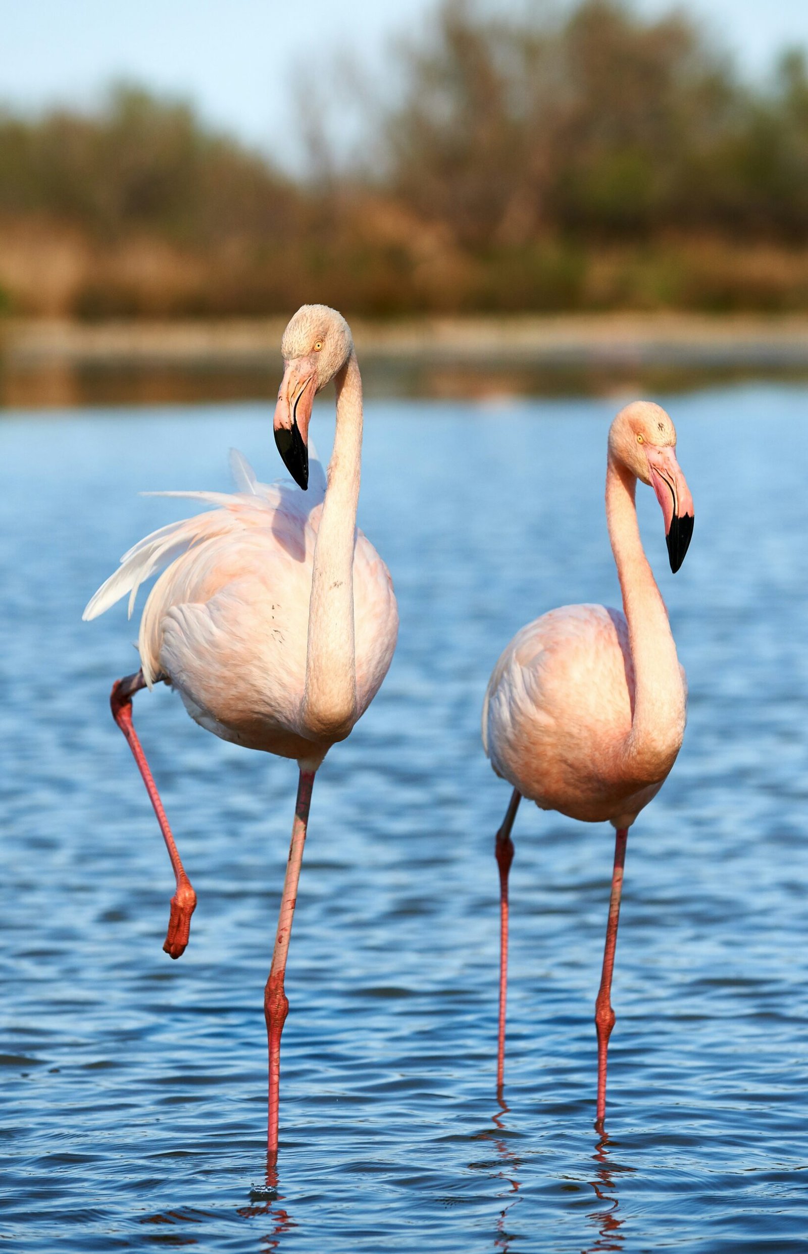 Wildlife Park Agadir