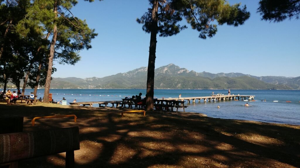 İnbükü Forest Camp (Çubucak Nature Park)