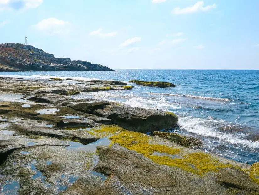 Koru Beach Natural Pools