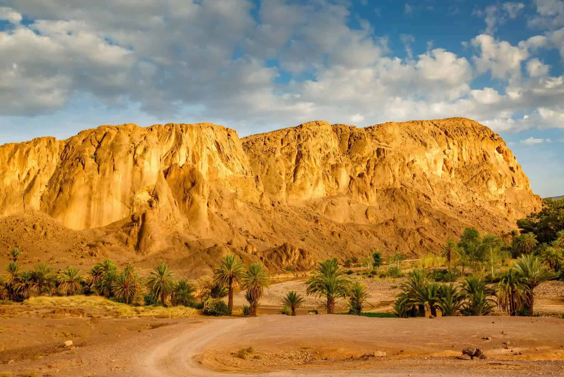 The Fint Oasis