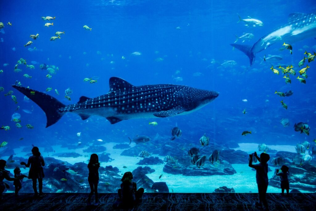 Antalya Aquarium