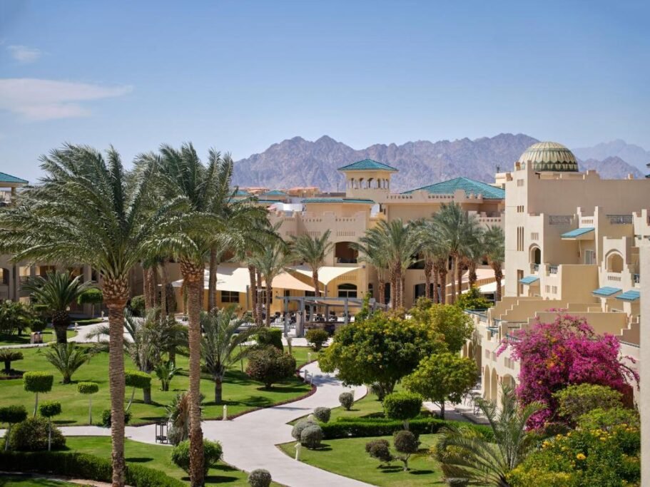 What to Do in Dubai