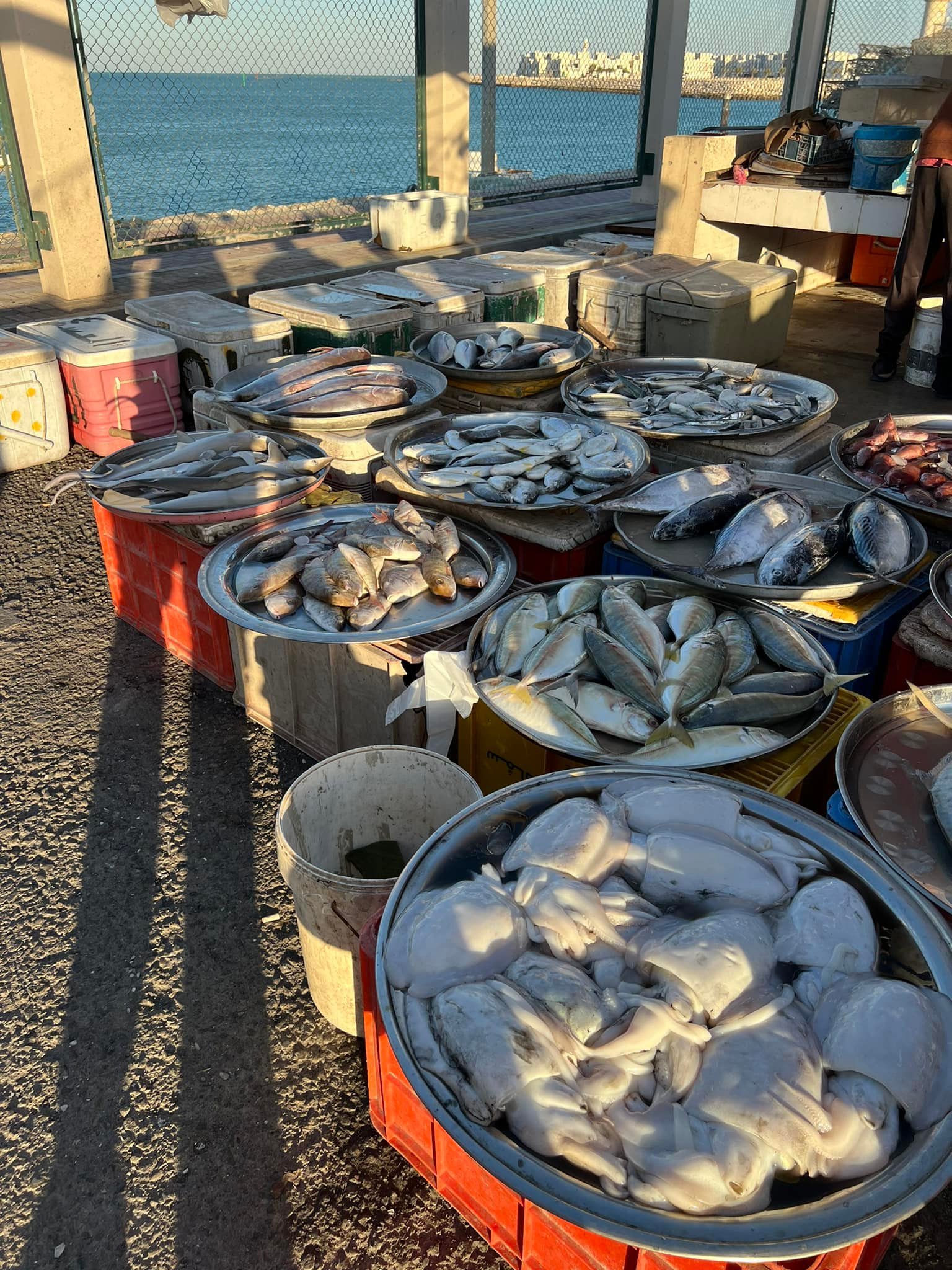 Hidd Fish Market at Sunrise Muharraq
