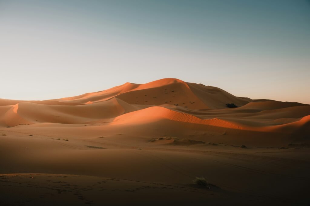 Dubai's Desert
