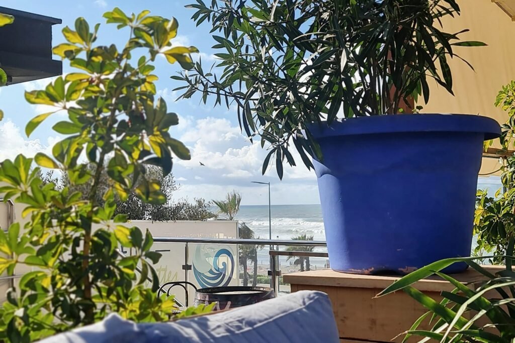 Best Rooftops in Casablanca