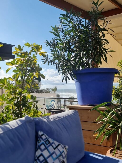 Best Rooftops in Casablanca