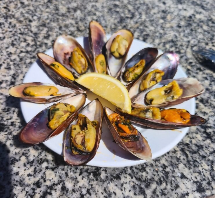  Talha (Talhamar) Oyster Farms in Dakhla