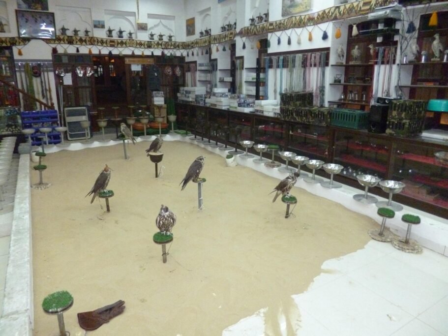 Souq Waqif Falcon Hospital in Doha