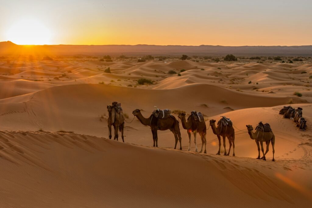 Doha desert tour