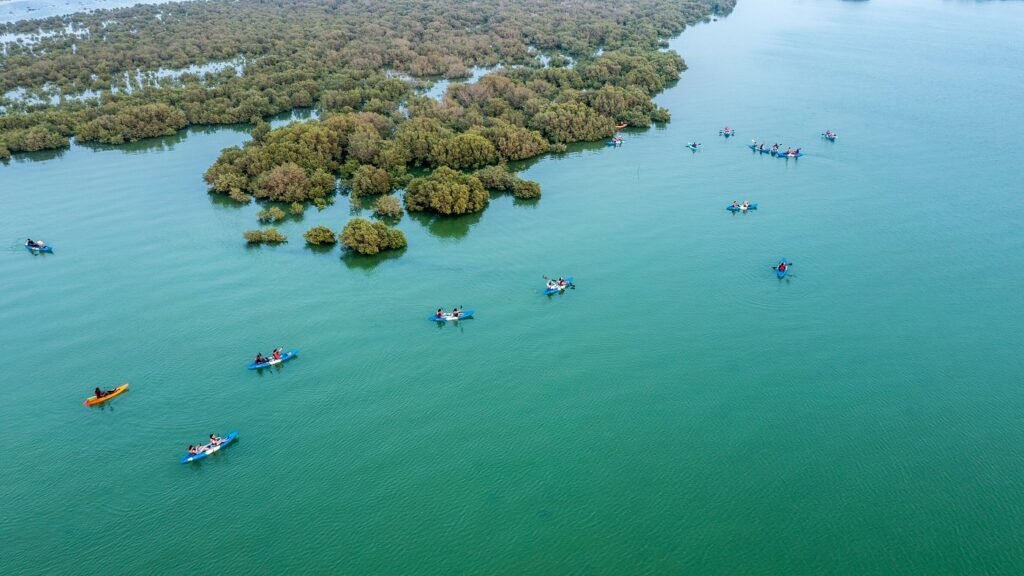 Aquasports Company at Al Thakira Mangroves in Doha