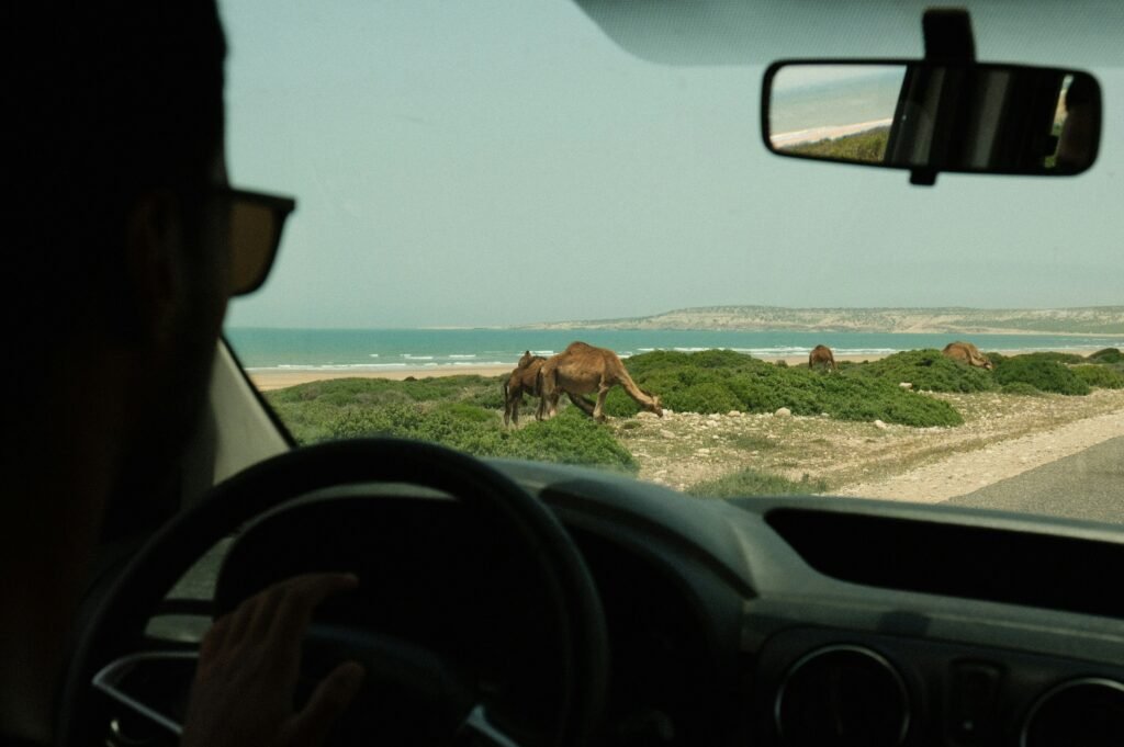 Driving in Morocco