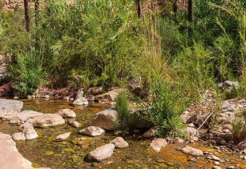 Paradise Valley