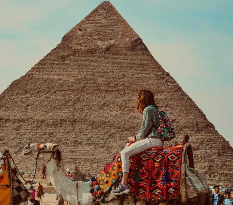 Travel on camel Egypt
