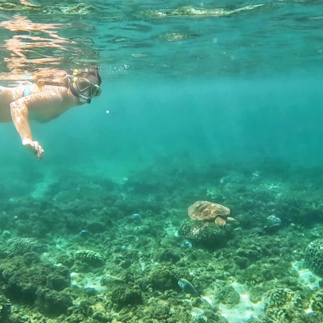 Snorkeling in the Daymaniyat Islands