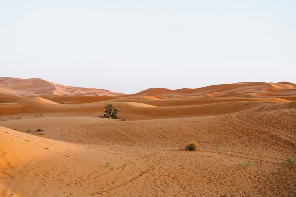 Desert Al Khor