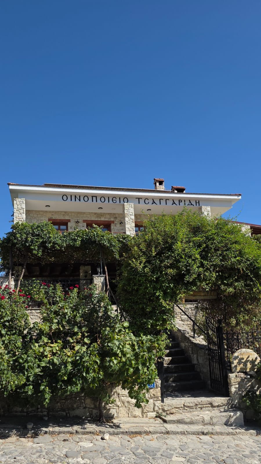 Wine tasting experience at Tsangarides Winery near Paphos