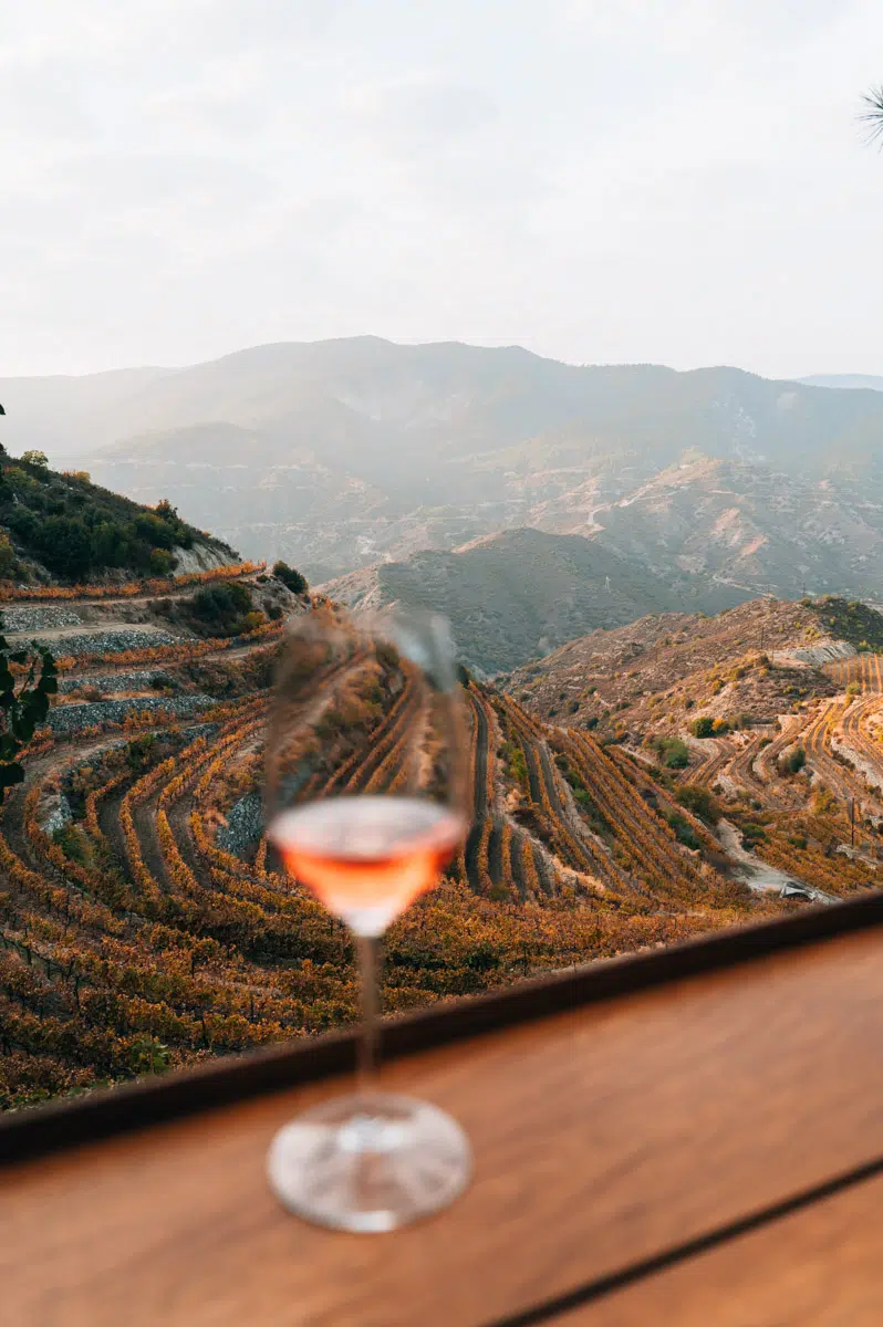 Tsiakkas Winery in the Troodos Mountains with vineyard views and mountain terrace