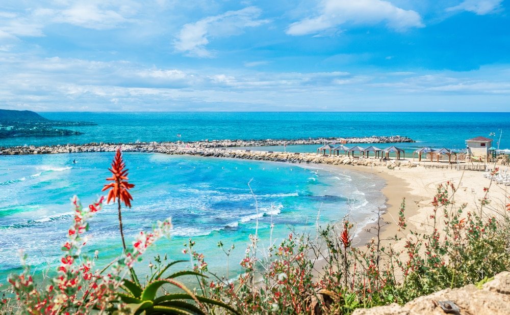 a Mediterranean coastline in TEL AVIV