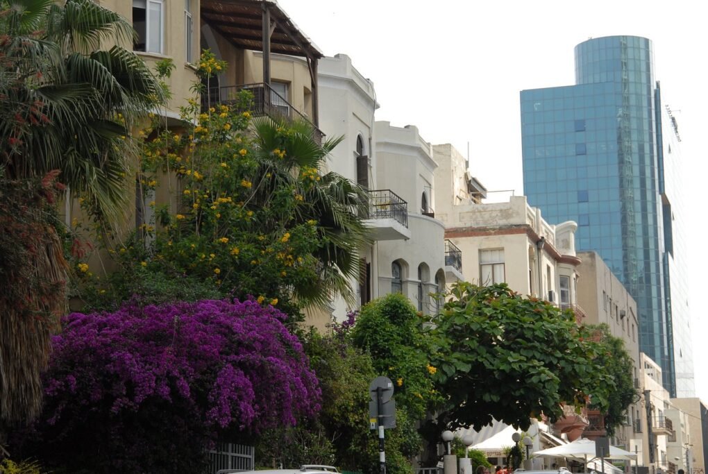 Rothschild Boulevard