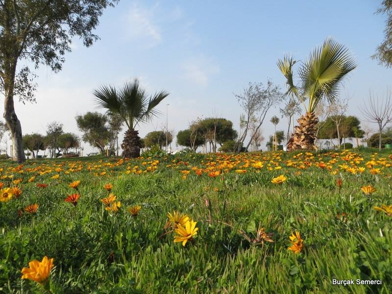 Coastal paths and green spaces at Inciralti Urban Forest in Balcova