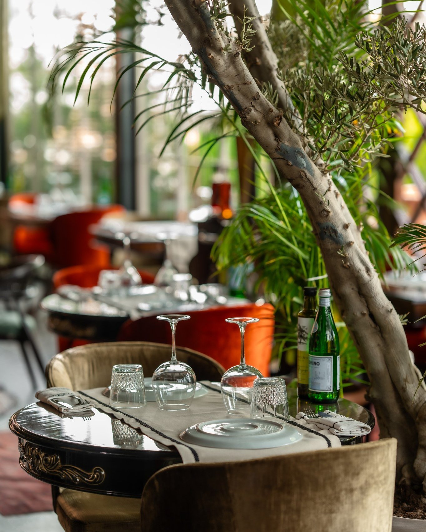 Flora restaurant in Ankara with beautifully presented fine dining dish