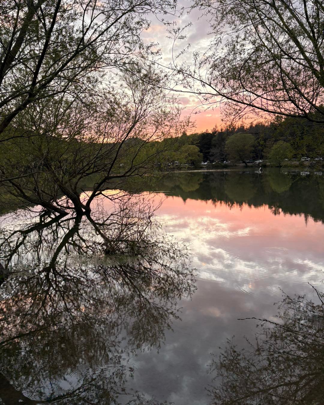 Lake and forest scenery at Karagol Nature Park near Izmir