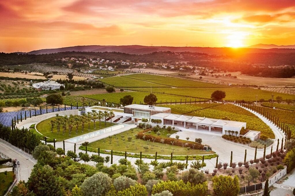 Urla Winery in Izmir with wine bottles and vineyard-inspired surroundings
