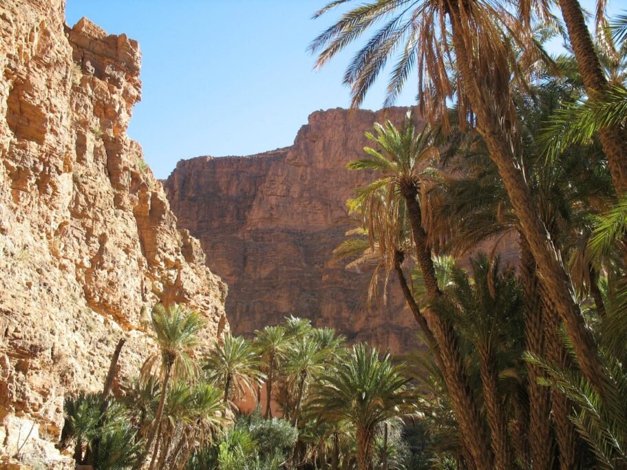 Aït Mansour Oasis