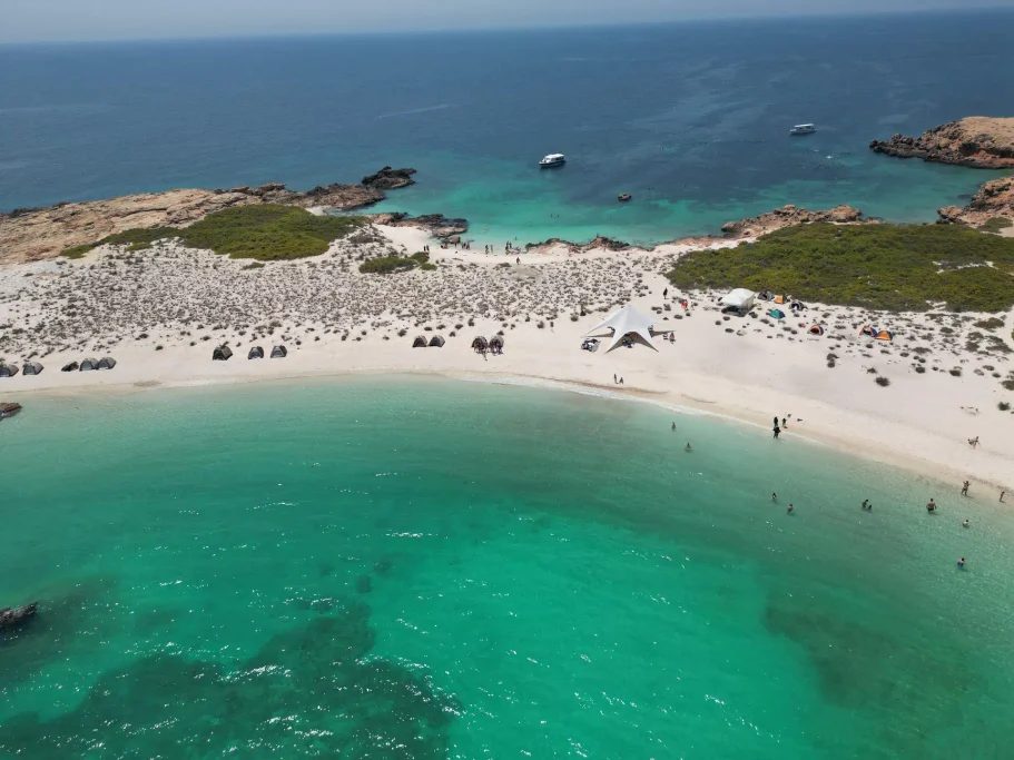 Snorkel With Turtles at the Daymaniyat Islands