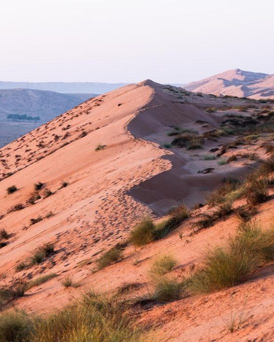 Wahiba Sands