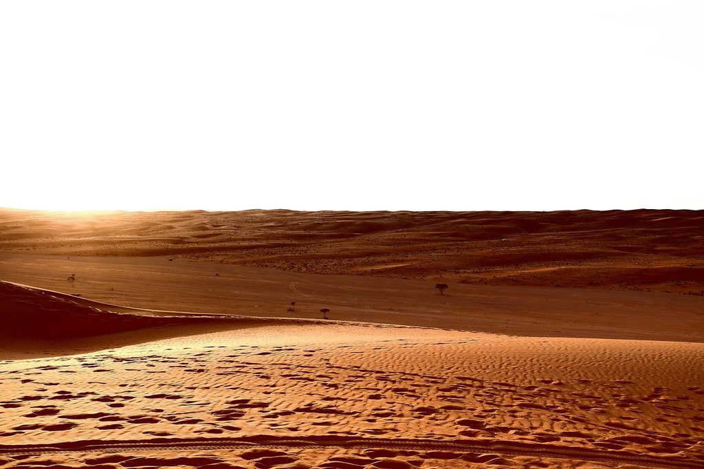 Wahiba Sands in Oman