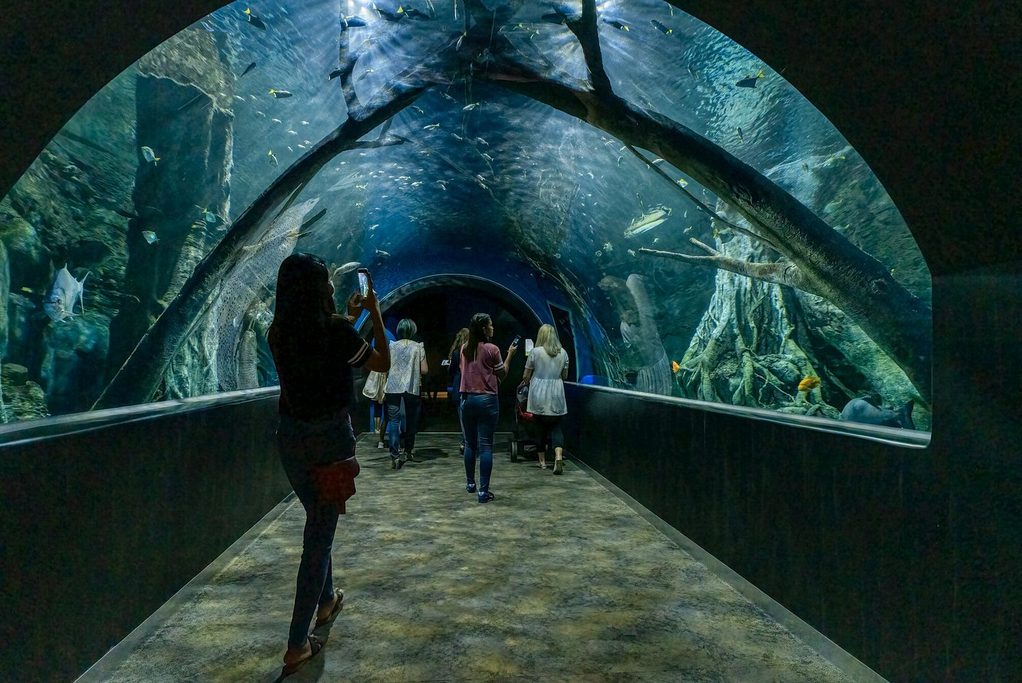 Oman Aquarium Muscat